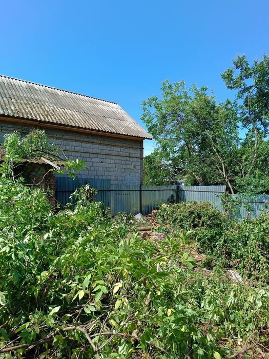 Обрізка гілок та дерев у важкодоступних місцях та умовах