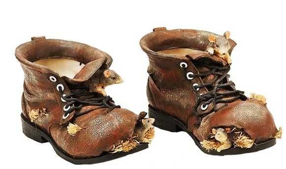Buty z poli w roli doniczki