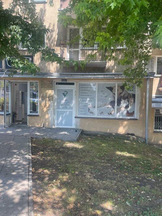 Lokal użytkowy do wynajęcia