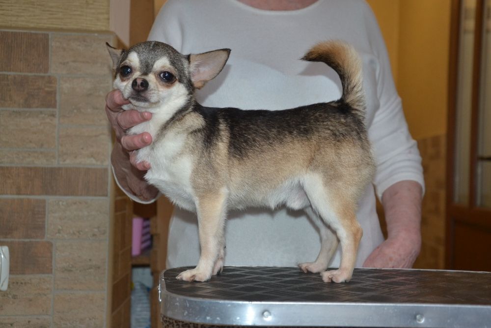 Хлопчик з документами FCI КСУ