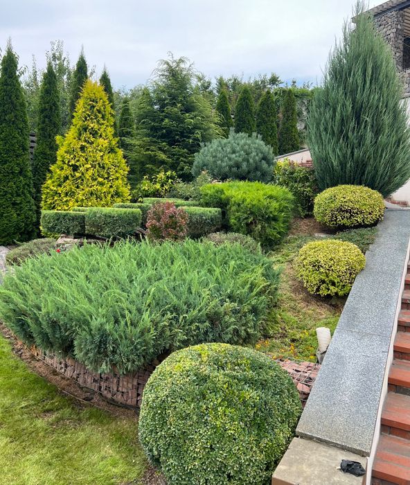 САДІВНИК. Обрізка фруктових дерев, кущів…