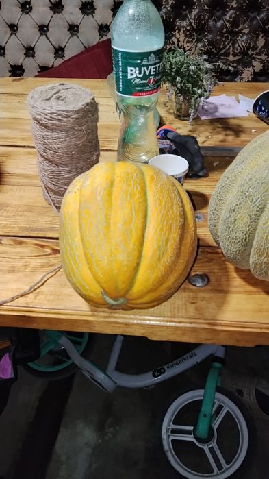Продам солодку диню!