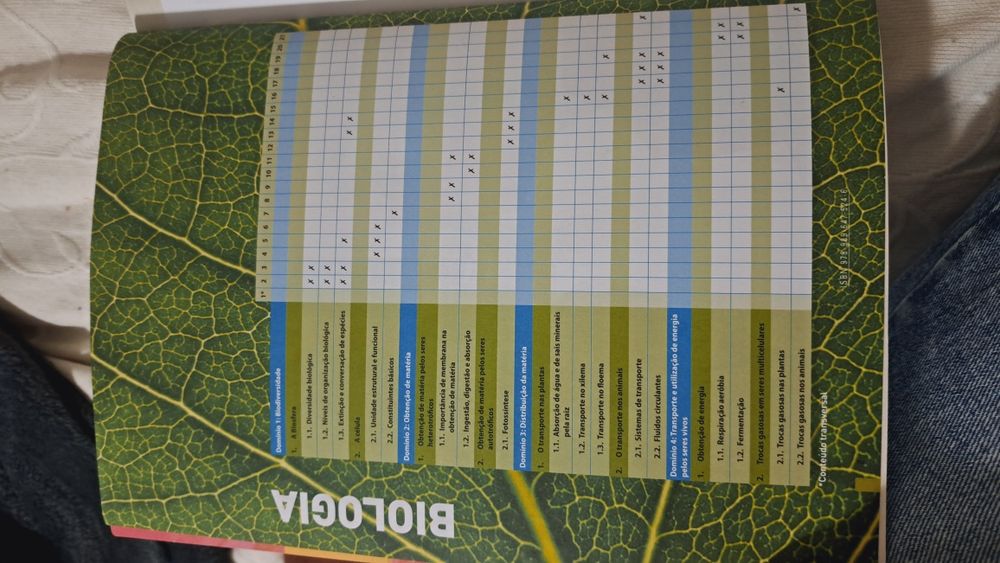 Caderno de atividades