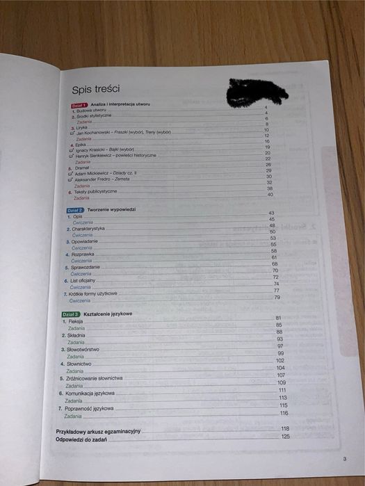 Przed egzaminem język polski