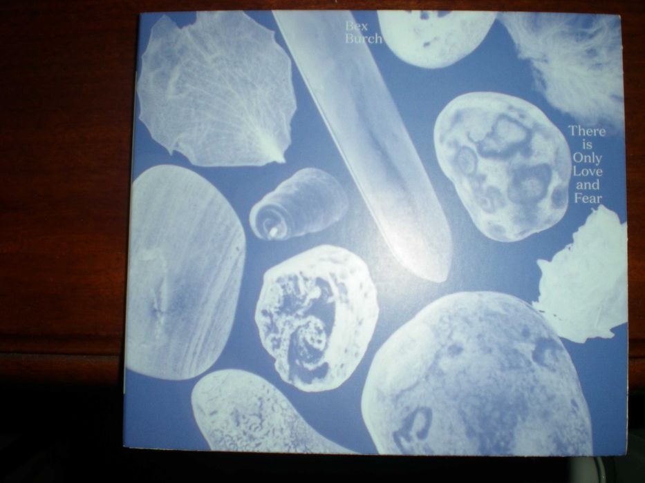 Bex Burch-«There Is Only Love and Fear» álbum NOVO