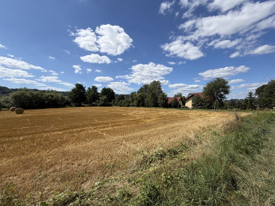 Sprzedam dzialke Ujazd gm. Trzciana 19ar - Widok 4