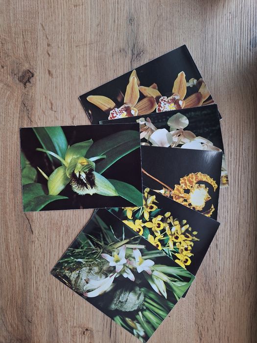 Старі листівки орхідеї, Чехословаччина