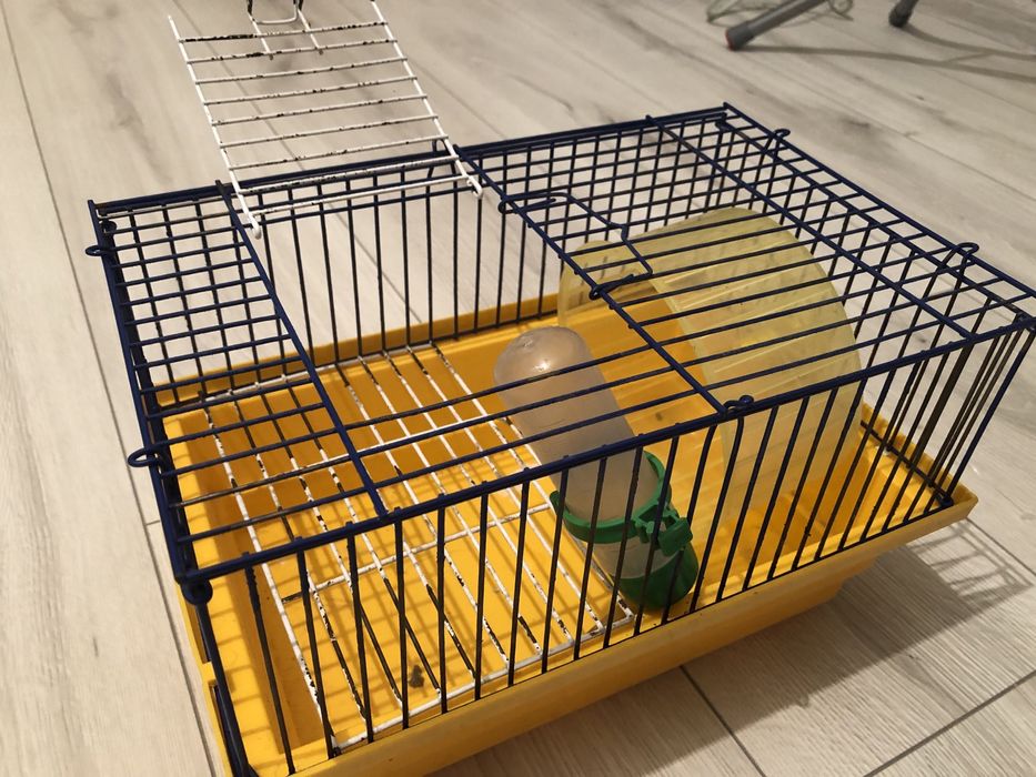 Клітка для гризунів