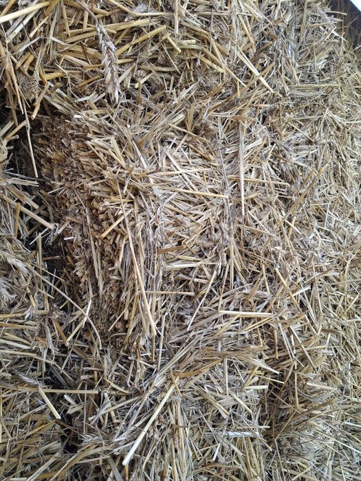 Продам солому в тюках