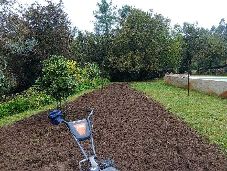 Serviço de limpeza de terrenos/ jardinagem