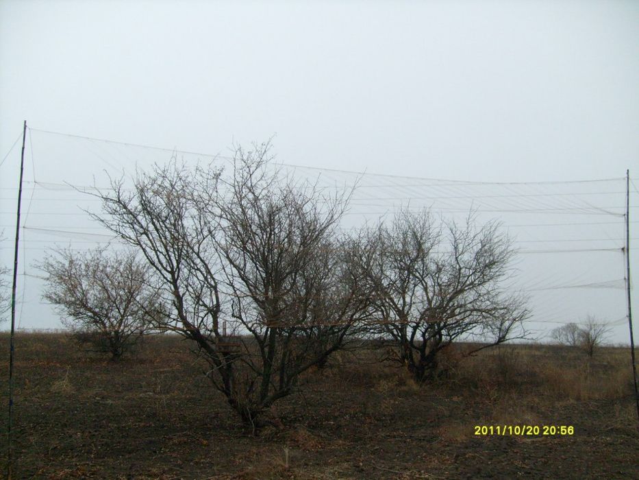 Продам рада для кольцеванія і міграції певних птіц