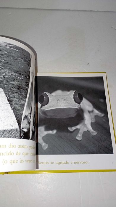 Um Dia "Daqueles", leve a vida com humor