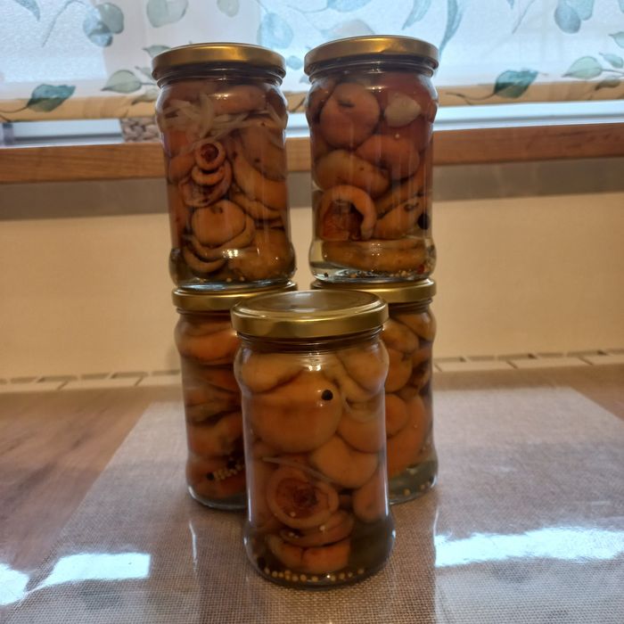 Rydze marynowane i po cygańsku OSTATNIE SZTUKI