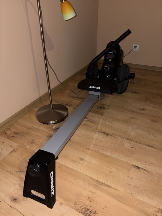 Czarny wioślarz zipro