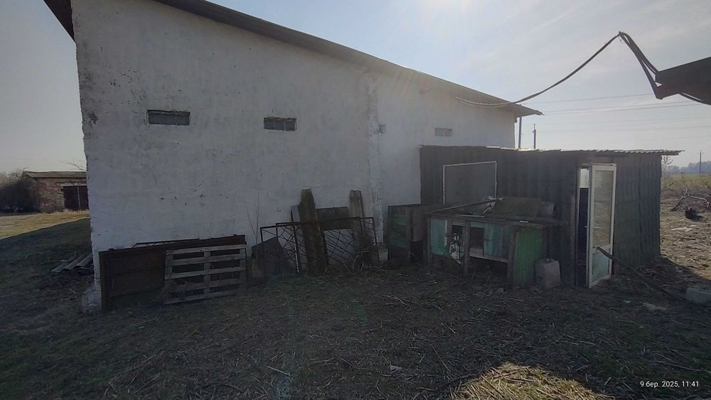 Ферма Свиноферма Скотарство Зерносхови Цех Броварський 600квм 70сот