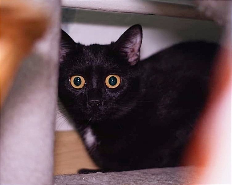 Maluchy. Chłopczyk i dziewczynka.