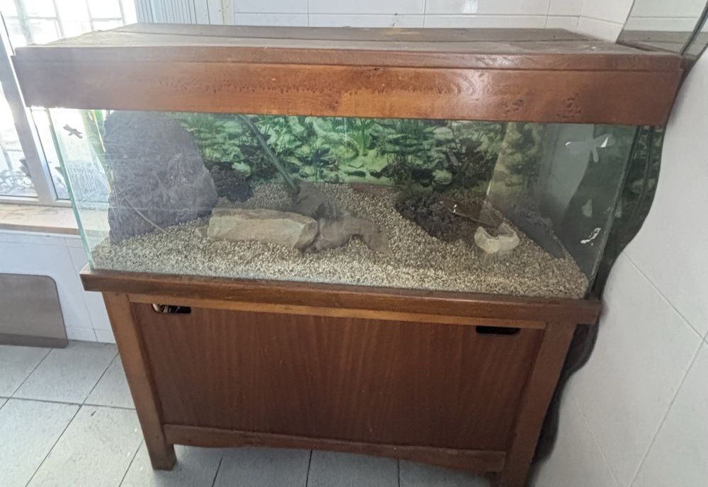 Vendo aquário.