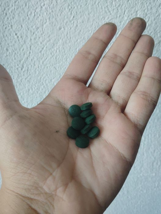 Comida para camarões ou peixes de fundo