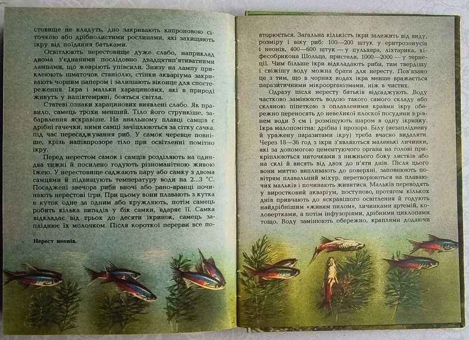 Аквариумные рыбы 1988 год