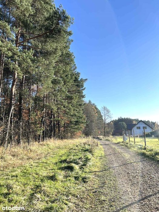 Piękna działka , otoczenie lasu i pól