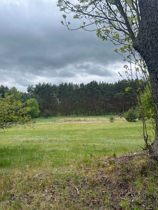 Działki budowlane Pszczelnik