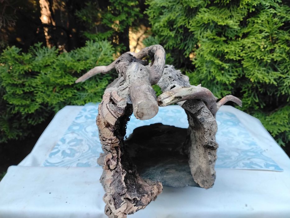 Bardzo duża grota   ok.30cm