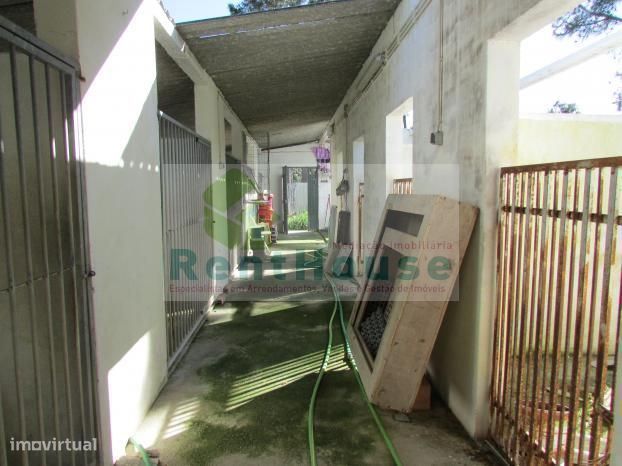 Terreno Para Construção Junto a Coimbra