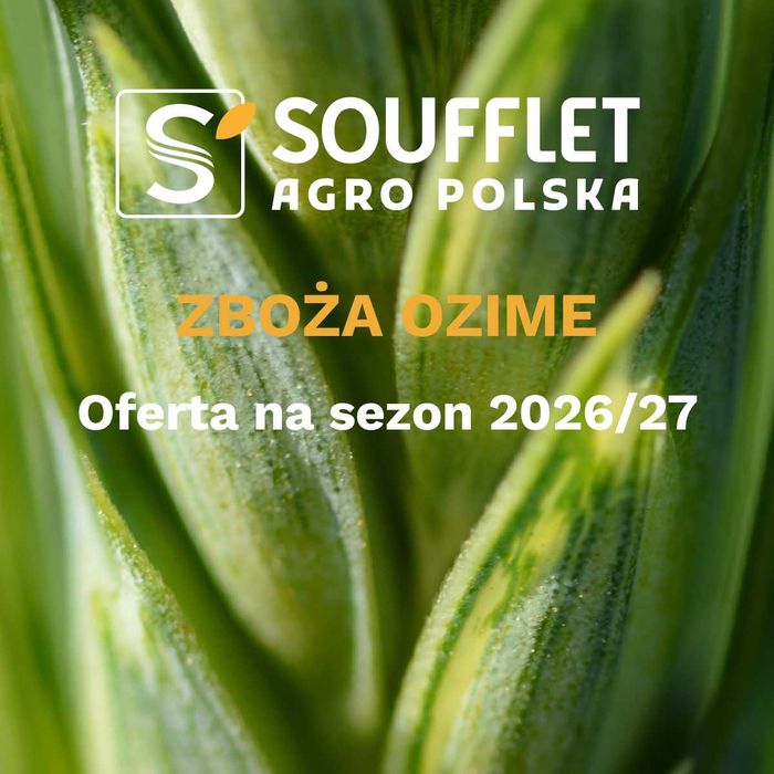 materiał siewny kwalifikowany C | Pszenica ozima | Pszenżyto | Jęczmień Ozimy | 2026