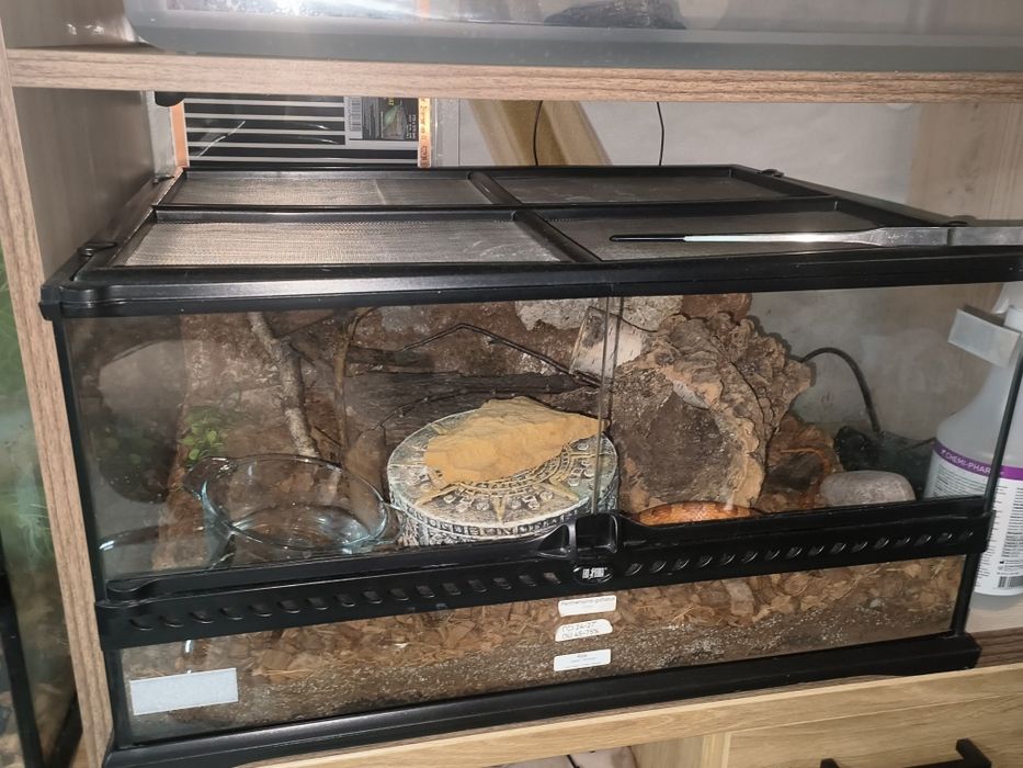 Terrarium Exoterra 60x45x30