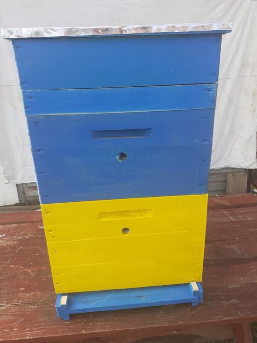 Вулик 2х корпусний