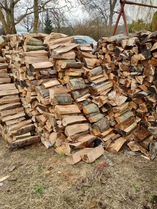 Drewno opałowe buk,sosna,olcha
