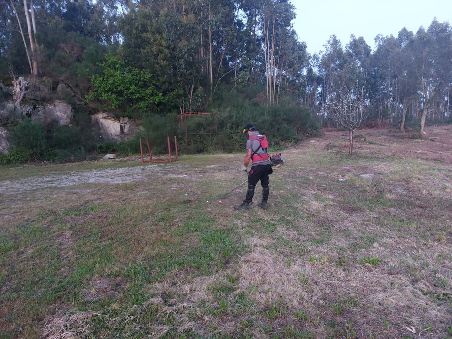 Limpeza de terrenos