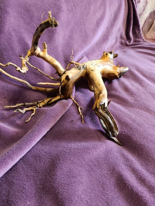 Коряга для акваріума