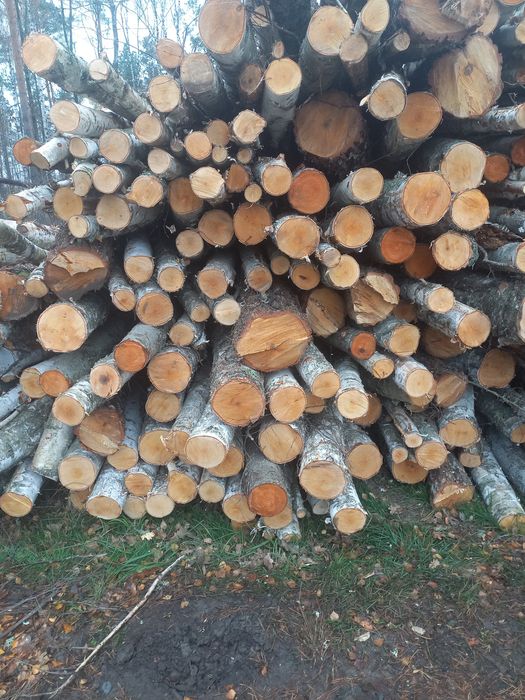 Дрова рубані гарної якості береза, вільха, дуб, граб