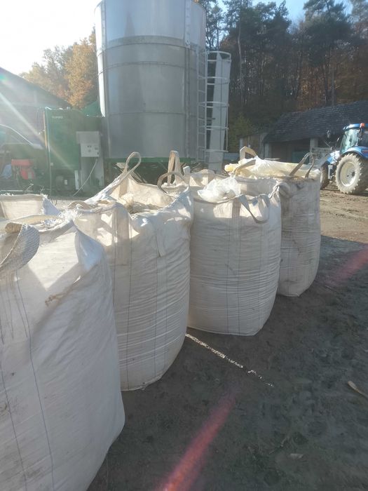 Kukurydza CCM big bag