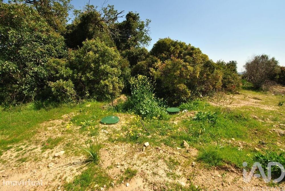 Terreno Agrícola em Paderne