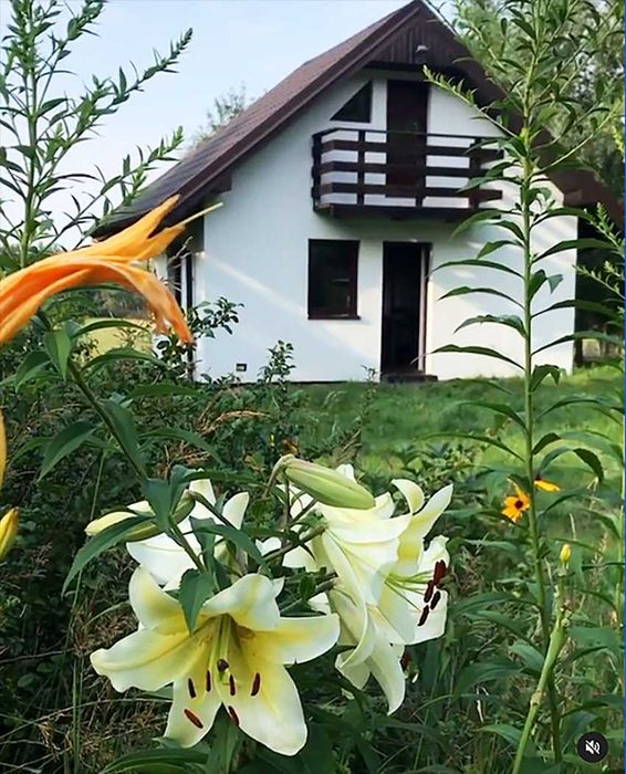 Dom – Frydrychów, powiat brzeziński - Widok 3