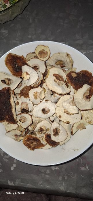 Białe kapelusze borowik suszony