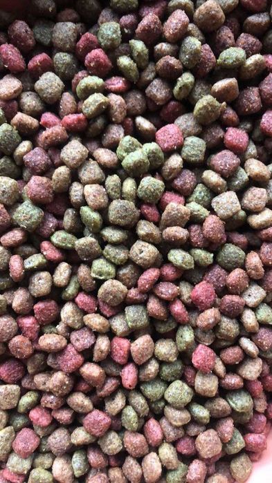 Корм для кішок Польського походження 10 кг