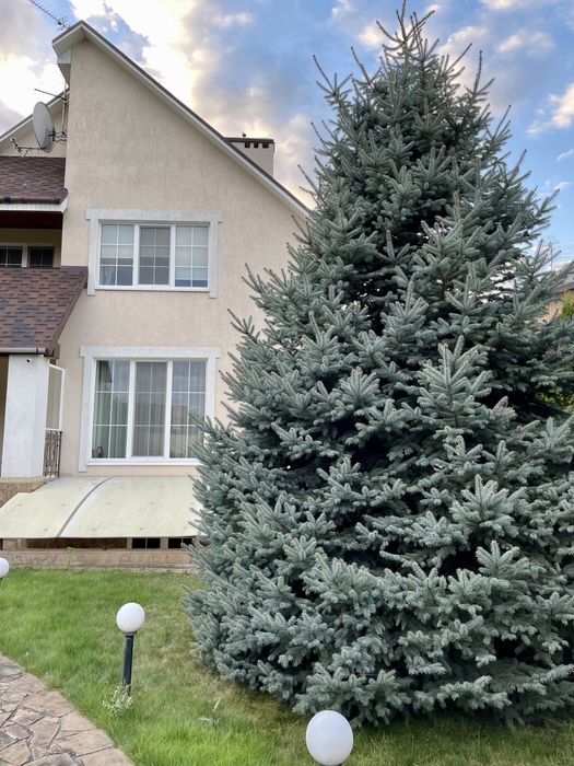 ‼️Продам дом Флоринка‼️Продажа дома Родичи!