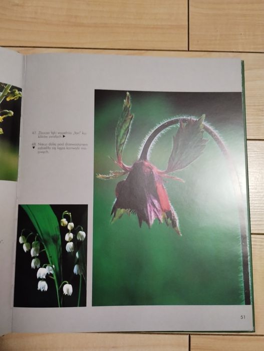 Łagowski park krajobrazowy