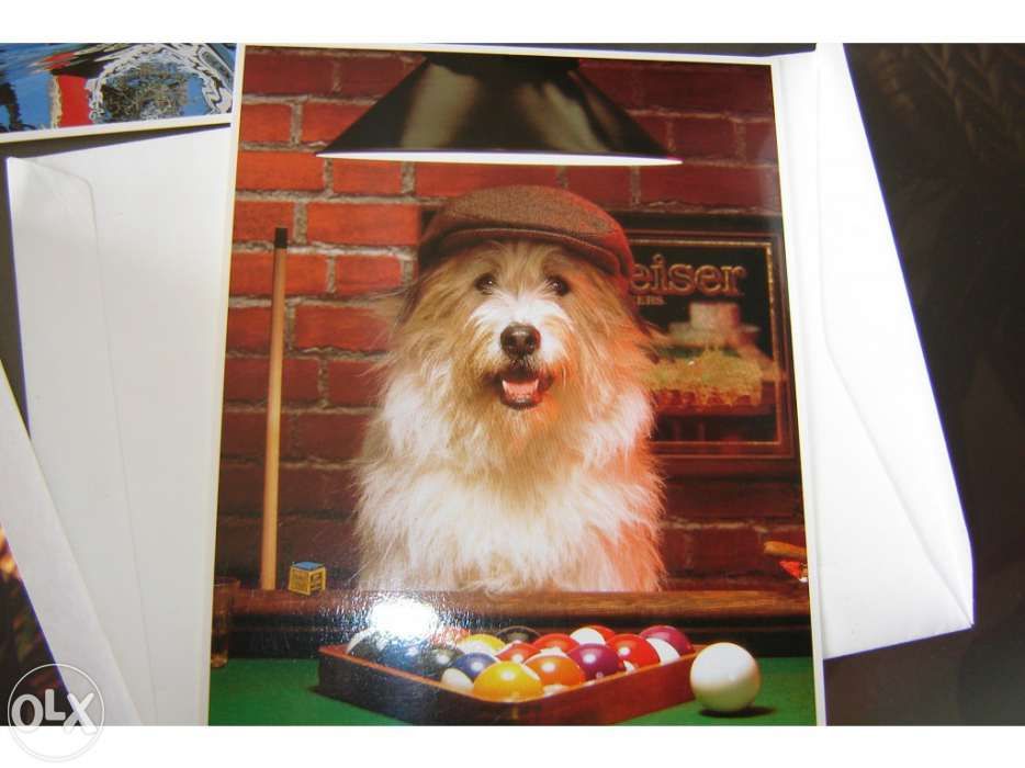 Colecção de 8 postais antigos da impact 2000 - como novos