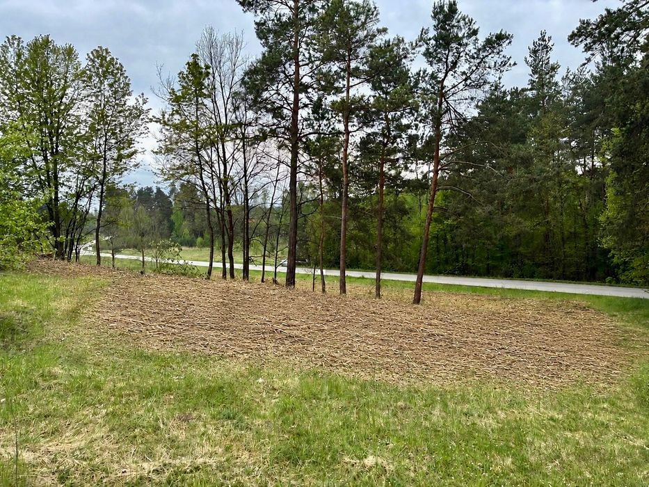 Widokowa działka budowlana przy lesie 3306 m² – Brudzów / Morawica - Widok 2