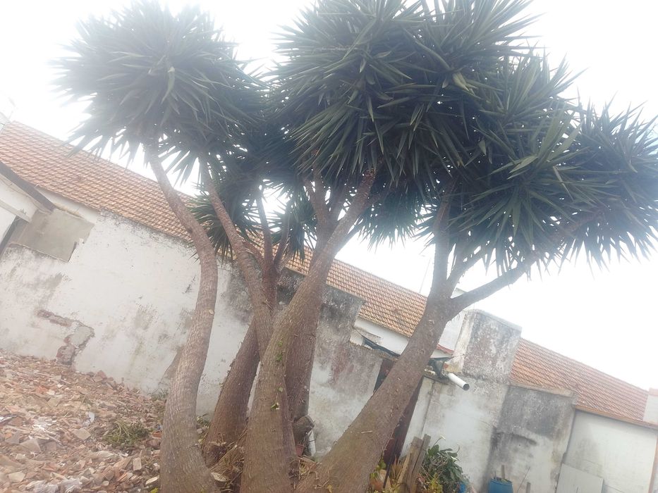 Vedaçoes e limpeza de terrenos