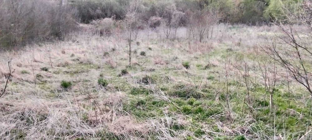 ділянка с. Горбанівка