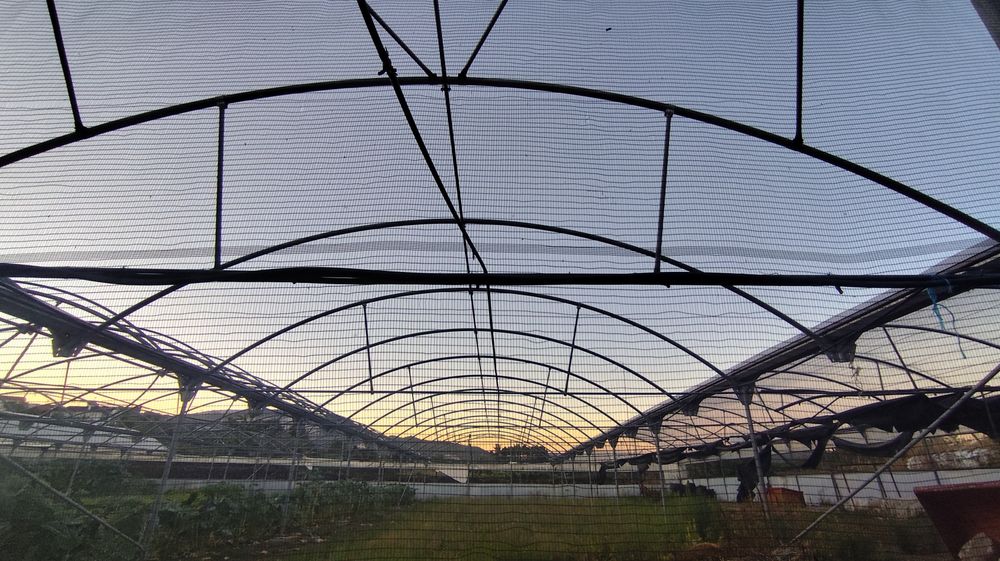 Estufas Estrutura metalica