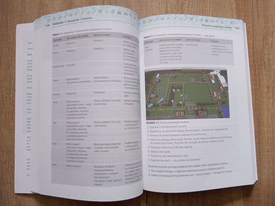 Kompendium gracza Minecraft