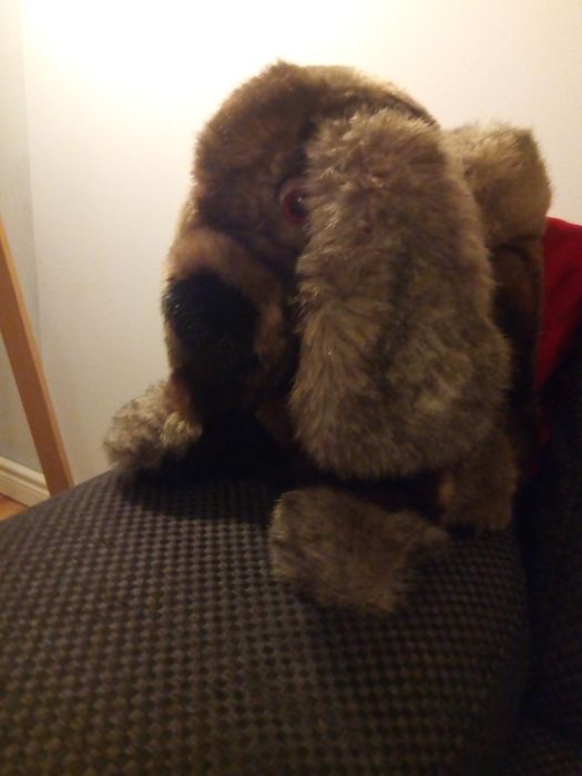 Maskotka pies naturalny