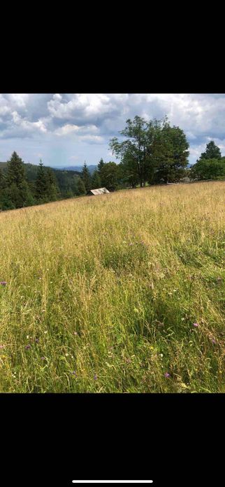 Земельна ділянка