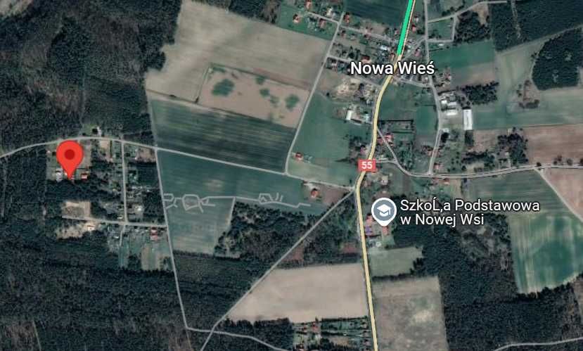 powrót domu w lasie pod Sztumem